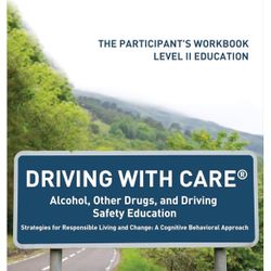 Dui Level 2 Education And Therapy 
