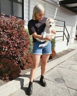 Dr. martens chelsea boots 