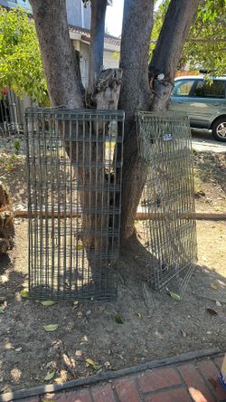 dog cage