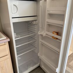 Small Upright Refrigerator