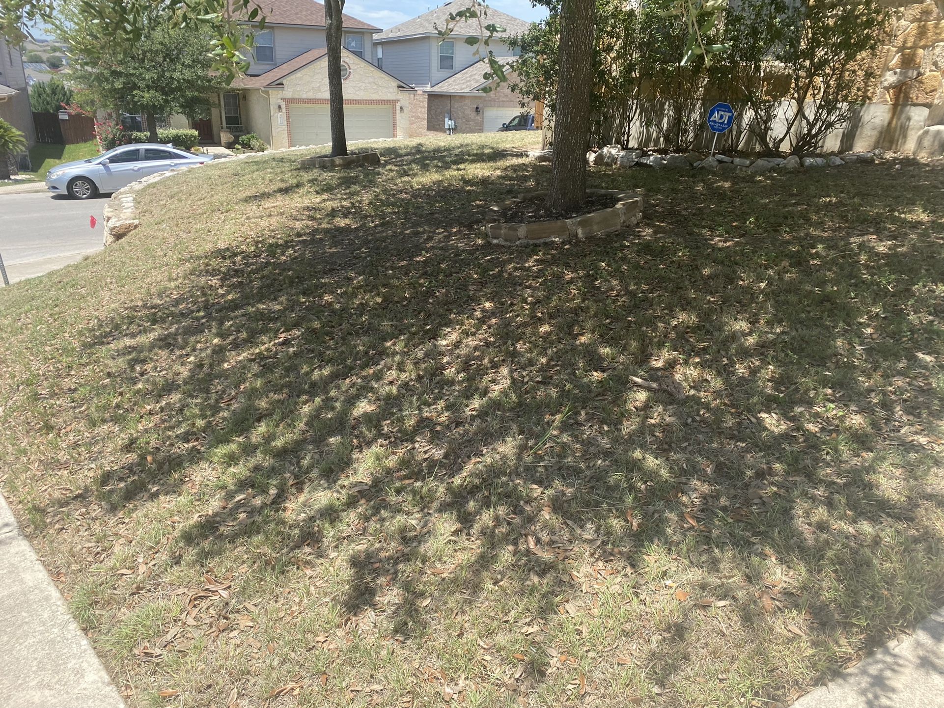 Lawn Care