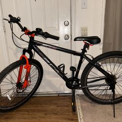 Bca 29” Mountain Bike