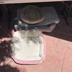 Pet Beds
