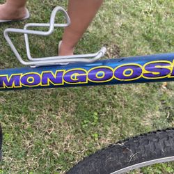Mongoose Mountain Bike