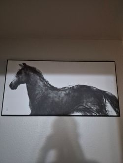 Framed Black and White Horse Wall Art