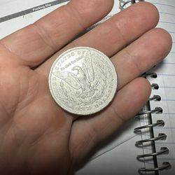 Morgan Silver Dollars
