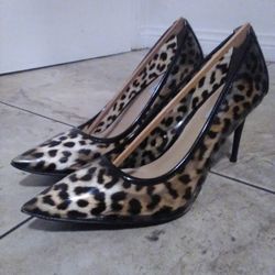 Steve Madden Leopard Heels With Box
