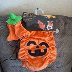 Pet Pumpkin Costume