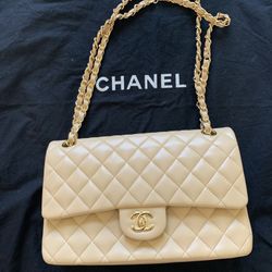 Chanel Classic Small  Bag 