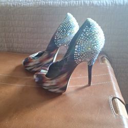 Multicolor with accents