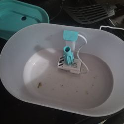 Water bowl for dogs