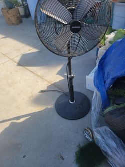 Fan