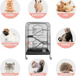Cage Bird, Rabbit, Hamster, Cat, Guinea Pig, Ferret, Chinchilla, Squirrel, Hedgehog