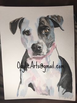 Pet parents favorite Christmas gift