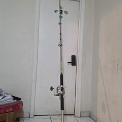 Fishing Rod  9 Ft
