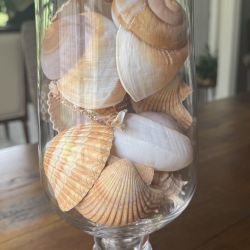 Decorative Glass Vase With Large Shells 