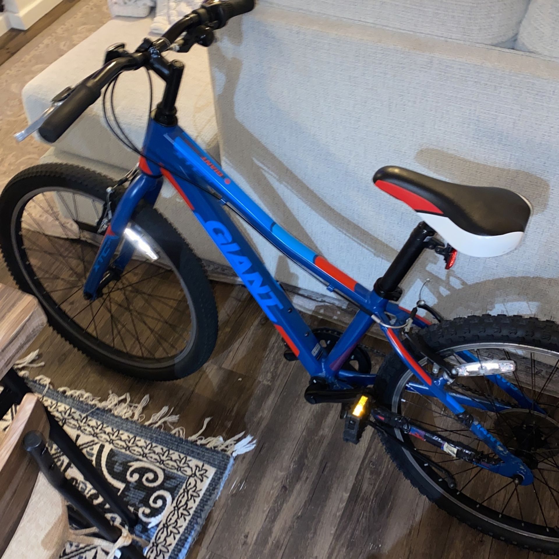 Mountain Bike