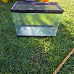 reptile terrarium