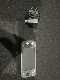 Nintendo lite and charger