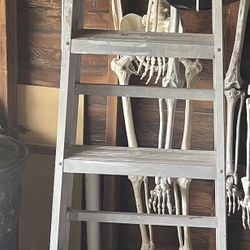 Werner 6 Ft Ladder