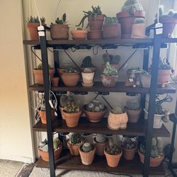 4 tier book/plant shelf