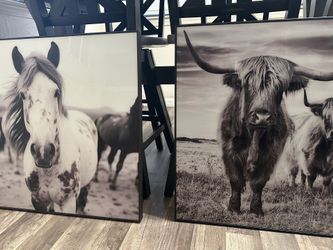 Highland Cow Frame 