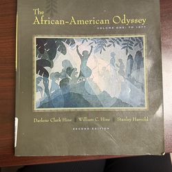 African American Odyssey second edition