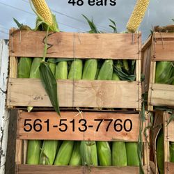 Fresh Cut Sweet Corn! Elotes Dulce 