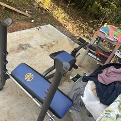 Weight Bench 