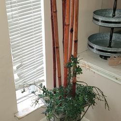 Bamboo Decor