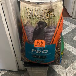 Dog food