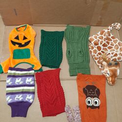 Lot Of Small Dog Sweaters And Halloween Costumes