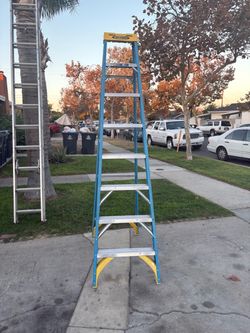 Werner Fiberglass Step Ladder