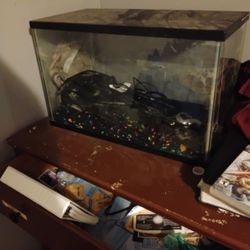 Fish Tank With Lights And Filter 