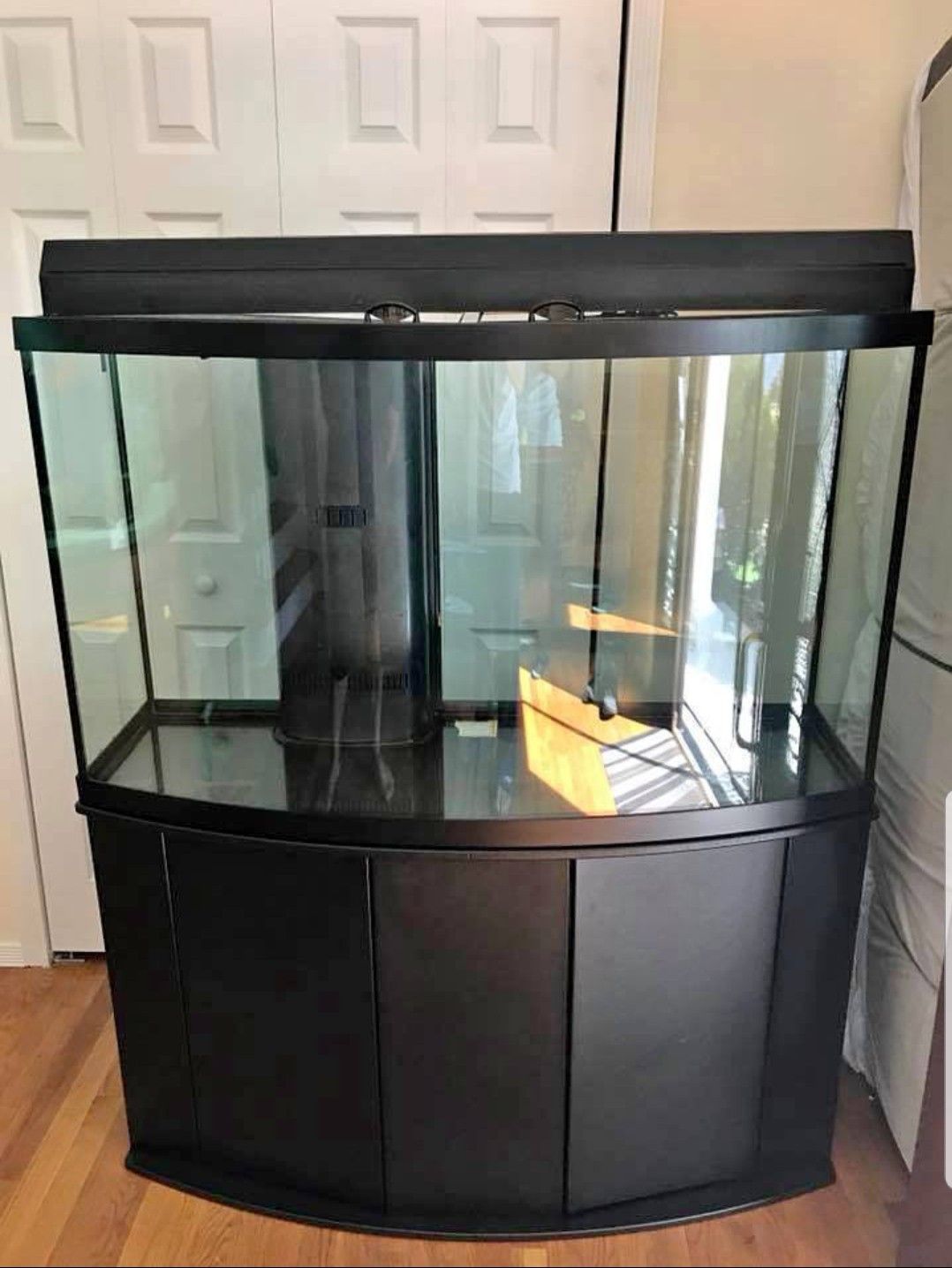 100 Gallon Bow Front Aquarium 2 100 Gallon Bow Front Aquarium