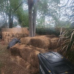 Hay
