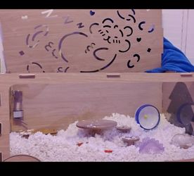 Hamster Habitat/ Cage