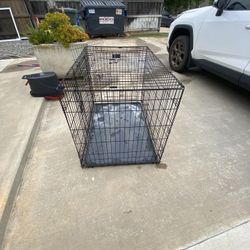 Dog Crate 