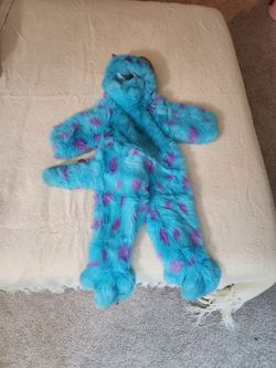 Disney Sully Costume