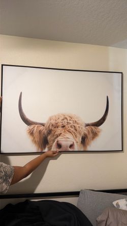 LARGE COW PICTURE canvas