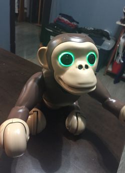 Zoomer Chimp