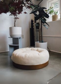 Dog bed