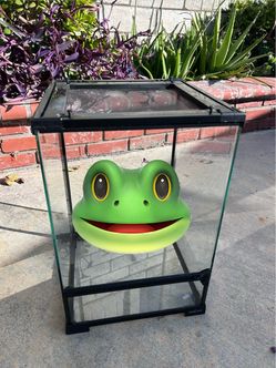 FROG Habitat 🐸 complete setup