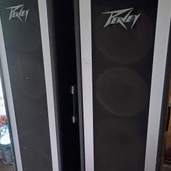 Speakers Peavey 