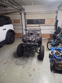 Tao tao  bull 150
