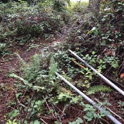 Well Pipe 