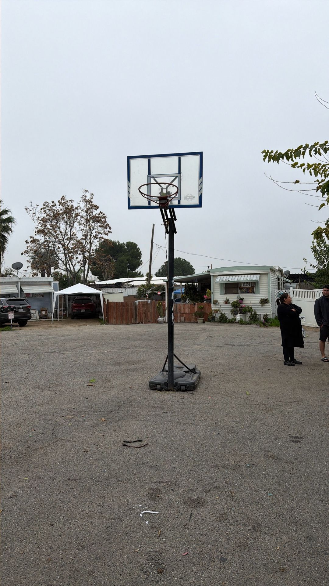 Lifetime Portable Basketball Hoop