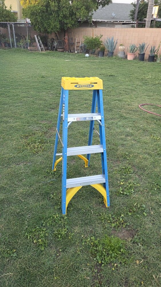 Werner 4ft Ladder