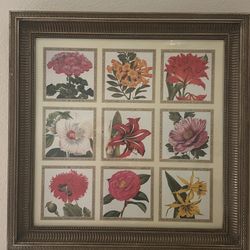 Framed Floral Print Matted And Under Glass