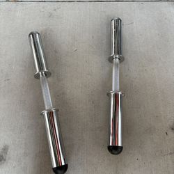 Pair Of Olympic Dumbbells